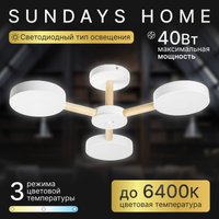 Припотолочная люстра Sundays Home 240924-22 5849