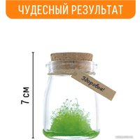 Набор для опытов Bumbaram Кристалл с пожеланием Здоровья k2