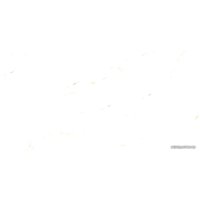 Керамогранит (плитка грес) Foir Group Fonix 600x1200 (полированная) в Витебске