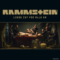  Виниловая пластинка Rammstein - Liebe Ist Fur Alle Da (Remastered)