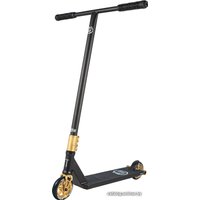 Двухколесный детский самокат Tech Team Street Daddy 2019 (черный/золотистый)