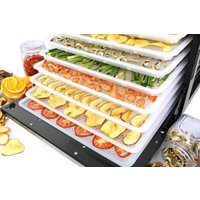 Сушилка для овощей и фруктов Tribest Sedona Combo Rawfood SD-P9150 (пластиковые лотки)
