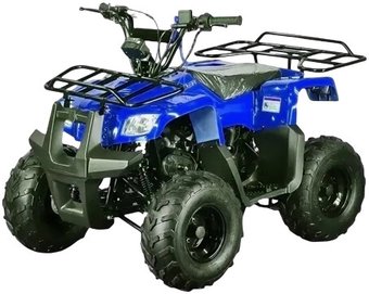Квадроцикл Motoland ATV Rider (синий)