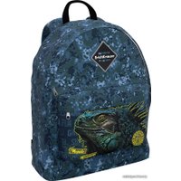 Городской рюкзак Erich Krause EasyLine 17L Iguana