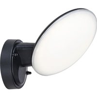 Бра Escada 10215/1LED (черный)