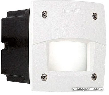 

Тротуарный встраиваемый светильник Fumagalli Leti 3C3.000.000.WYG1L
