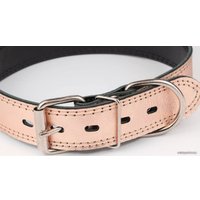 Ошейник Дарэленд простроченный 2х-слойный 35 мм 41-51 см (розовое золото)