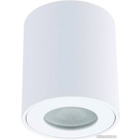 Точечный светильник Arte Lamp Tino A1469PL-1WH