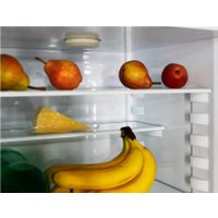 Холодильник Орск 176 NG (нержавеющая сталь)