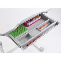 Парта Растущая мебель Smart ELFIN B201 (серый)