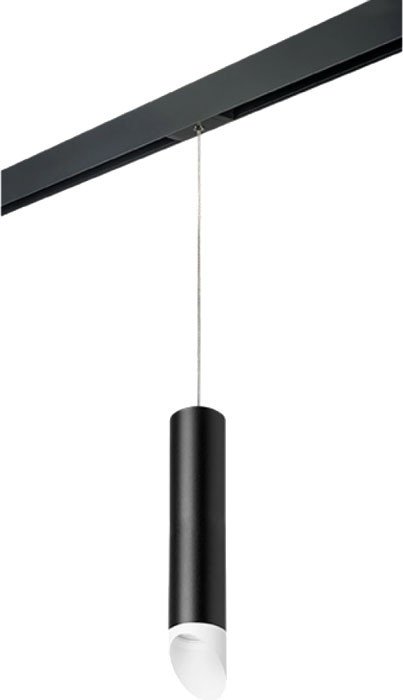 

Трековый светильник Lightstar Rullo PRORP49736