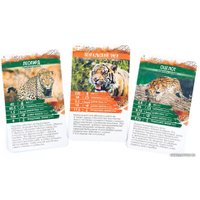 Детская настольная игра Стиль Жизни Секреты Планеты: Хищники