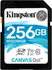 Canvas Go! SDG/256GB SDXC 256GB