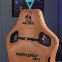 Игровое (геймерское) кресло Evolution Nomad PRO (коричневый)