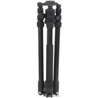 Трипод Raylab Pro 75 (с головой)