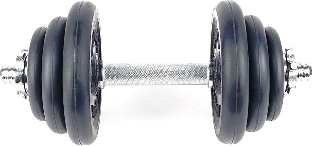 

Гантель Central Sport 10 кг