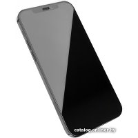 Защитное стекло Hoco A19 HD для iPhone 12 Pro Max (черный)
