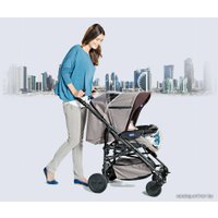 Универсальная коляска Chicco Trio Living Smart