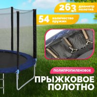 Батут Sundays Favorite 10FT 305 см (синий, с сеткой и лестницей)