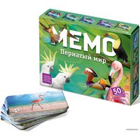 Настольная игра Нескучные игры Мемо - Пернатый мир