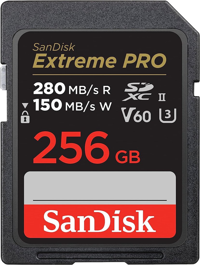 

Карта памяти SanDisk Extreme PRO SDXC SDSDXEP-256G-GN4IN 256GB