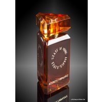 Парфюмерная вода State of Mind Aesthetic Turbulence EdP (100 мл)