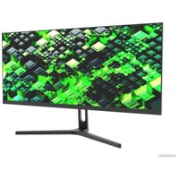 Монитор NPC MA3010-V