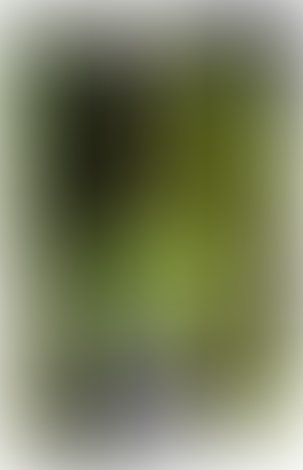 Гладкие презервативы Domino Neon Green