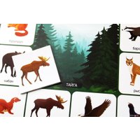 Развивающая игра Десятое королевство Кто где живет? 00078