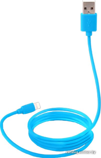 Кабель Canyon CNS-MFICAB01BL