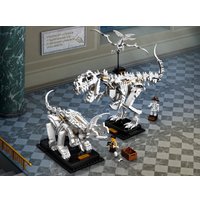 Конструктор LEGO Ideas 21320 Кости динозавра