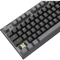 Клавиатура A4Tech Fstyler FS100 Neon (серый/черный)