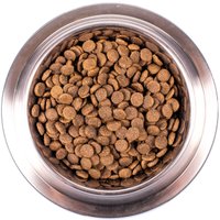 Сухой корм для собак Monge Speciality Line Puppy & Junior Lamb&Rice (12 кг)