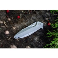 Складной нож Ruike P128-SF