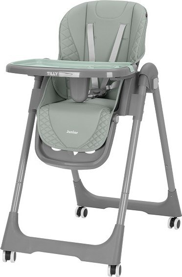 

Высокий стульчик Baby Tilly Junior T-671 (темно-зеленый)