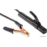 Сварочный инвертор Wester Mini 200Т