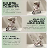 Детский велосипед Bubago Malanka BG 211-2 (коричневый)