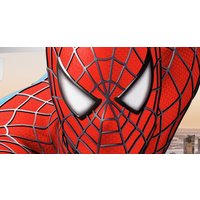 Фотообои ФабрикаФресок Человек Паук из Стены 1002270 (200x270) в Витебске