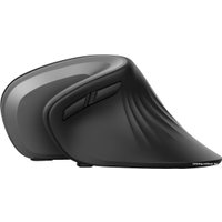 Вертикальная мышь Trust Verro Ergonomic Wireless Mouse