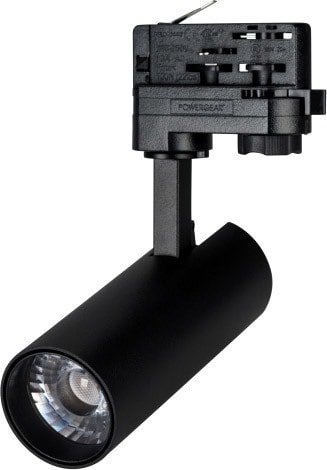 

Трековый светильник Arlight LGD-GERA-4TR-R55-10W Warm3000 024616(2)