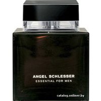 Туалетная вода Angel Schlesser Essential for men EdT (100 мл)