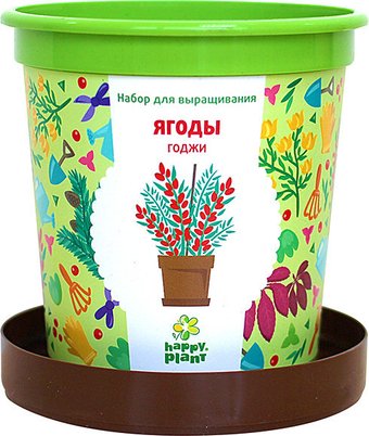 Набор для опытов Happy plant Ягоды Годжи hpn-18