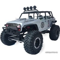 Автомодель Remo Hobby RH1073-SJ