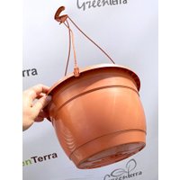 Вазон GreenTerra С подвесом 25/15 см 5 л (5 шт, терракотовый)
