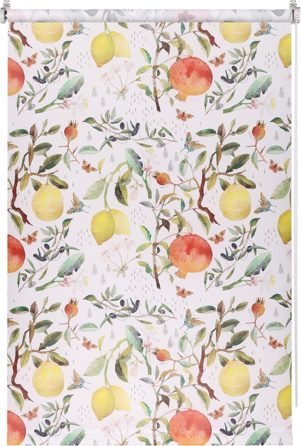 

Рулонные шторы Franc Gardiner Print Фрукты 40x160 9403217430 (мультиколор)