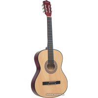 Акустическая гитара Terris TC-3801A NA