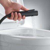 Гигиенический душ Shevanik S4005H-1