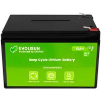 Внешний батарейный блок Evolisun EVOLISUN12Q20-LFP (12.8В/12Ач)