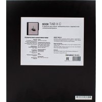 Электронная книга Onyx BOOX Tab X C