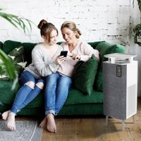 Очиститель воздуха Webber AP8800